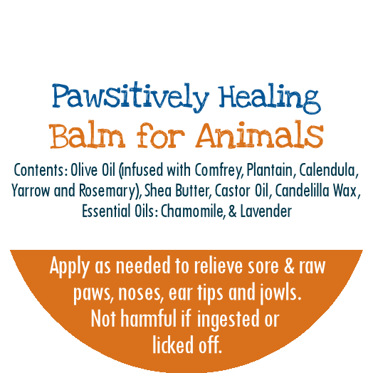 LAST CHANCE! Healing Balm for Dog Paws, Noses, Jowls